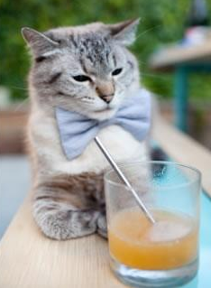 开云体育官网下载安装-Dota 2 战队状态起伏明显，dota2战队最新动态