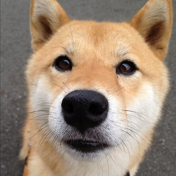 开云集团中国官网-以“体育+旅游”为核心的新兴产业模式推动城市经济增长，体育旅游产业的发展