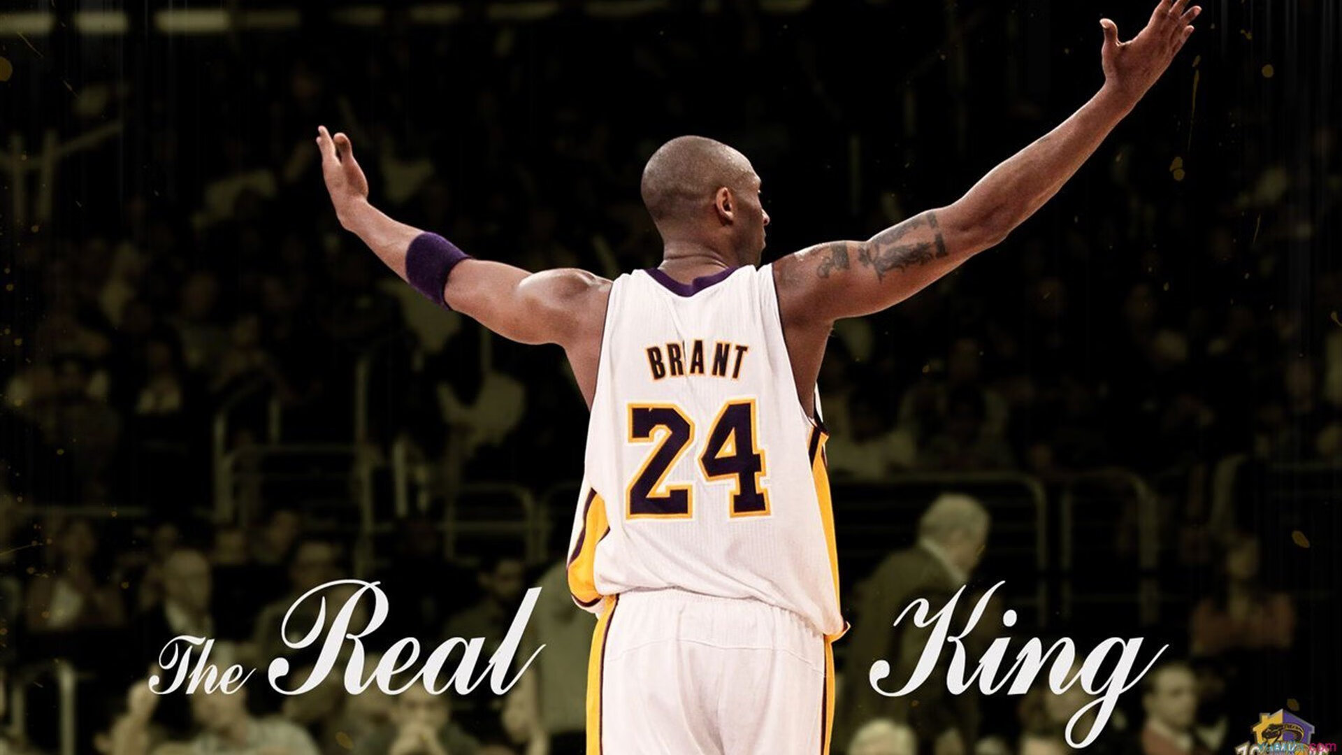 开云esports-胡贝特·科斯泳池内外双重突破展现实力，胡安贝内特百度百科